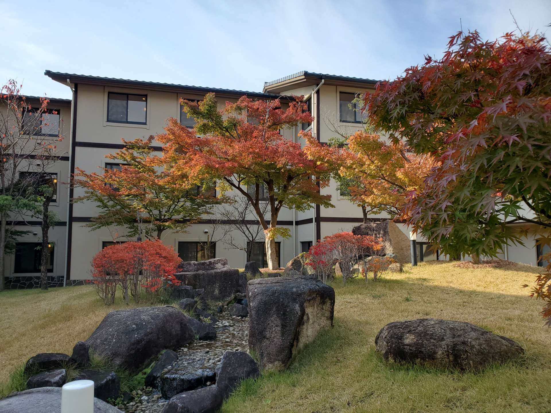 紅葉が奇麗です。京都市の介護付き有料老人ホームでの自費リハビリ